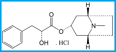 HYOSCYAMINE EP IMPURITY F / LITTORINE HCL